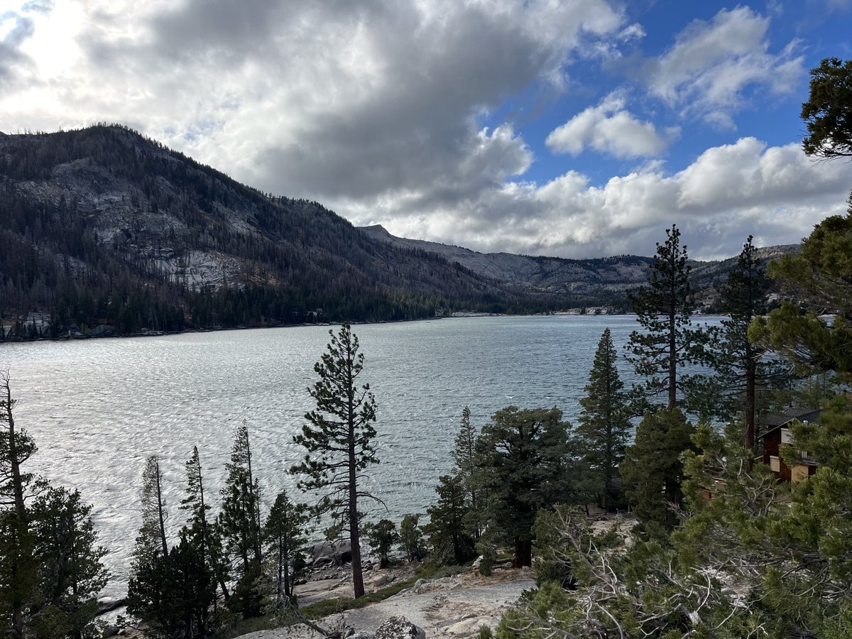 Echo Cam tweet media