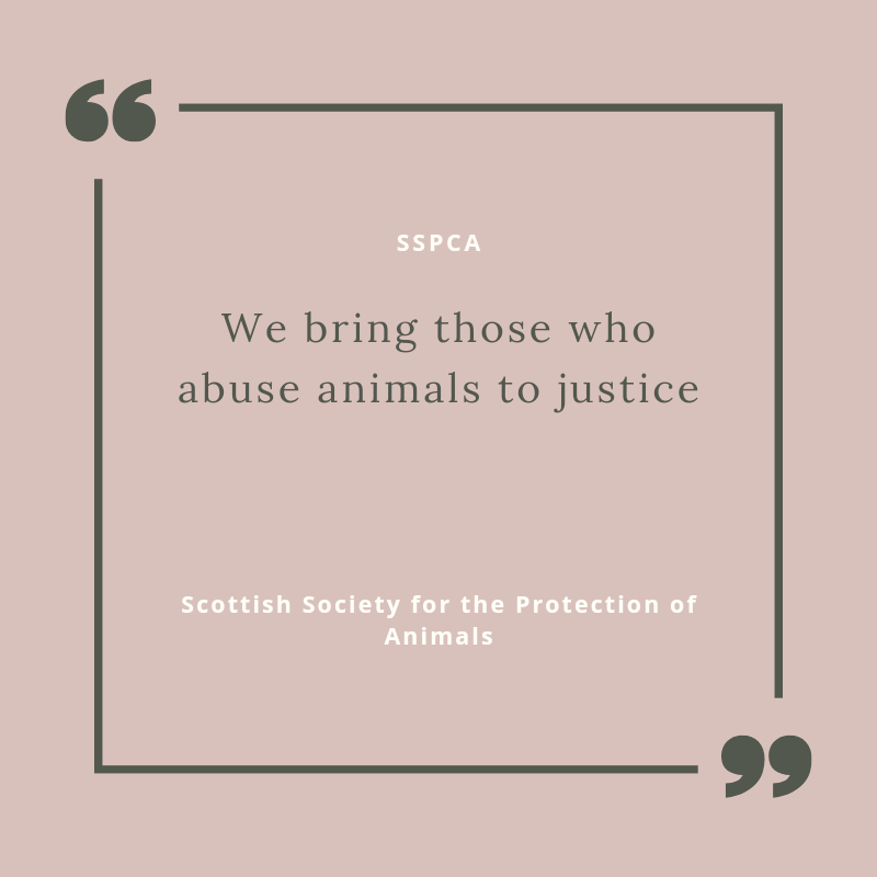 October is nearly finished &amp; I have met my 62 mile target. 

The SSPCA don't just rescue animals, they help to protect them by seeking justice against those who harm them. This can prevent future harm and abuse. 

Total so far - 65.3 miles

#moveforacause #teamtigers #sspca