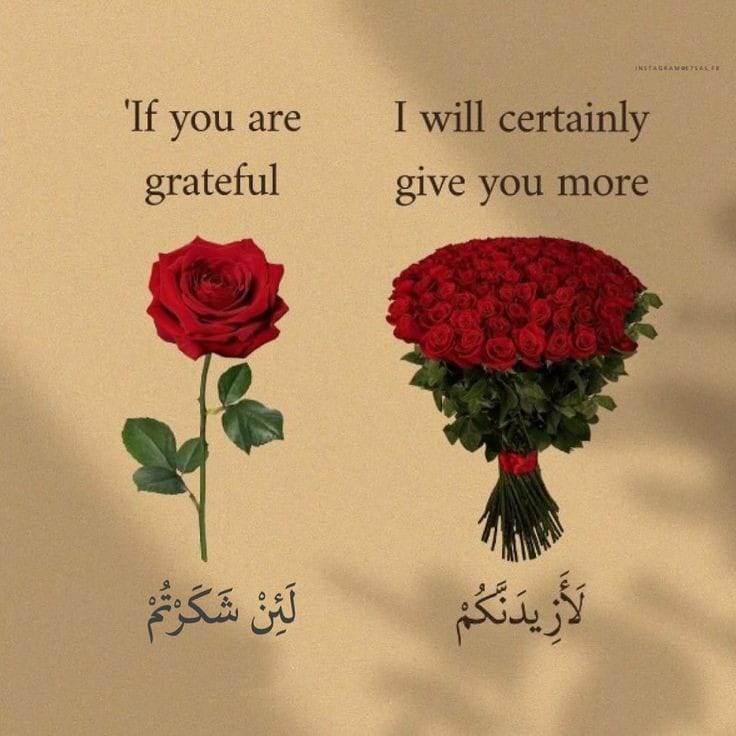 Alqrran_'s tweet image. لا تمر عليك هذه التغريده الا وضعت شيئاً تؤجر عليه ❤️❤️❤️❤️❤️