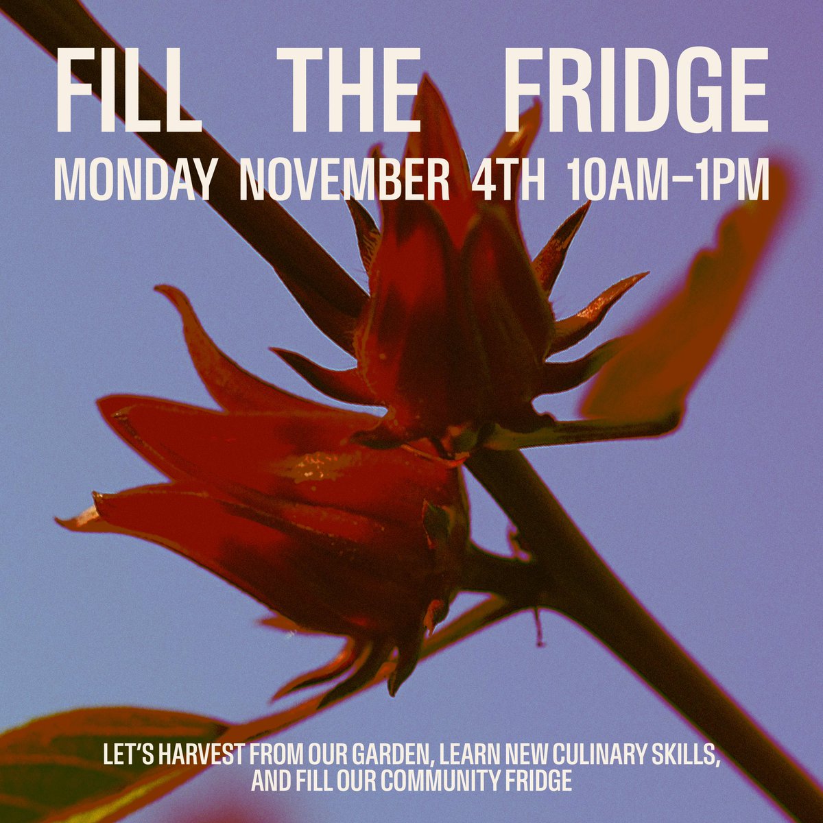materialinst's tweet photo. Join us next Monday to harvest food from our garden, learn new culinary skills, and fill our community fridge. https://t.co/vXbT1WdgN5