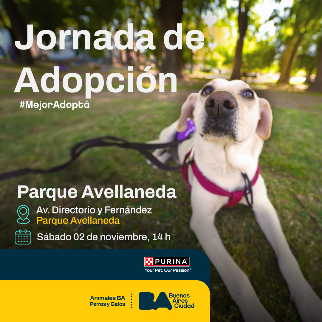 Animales BA tweet media