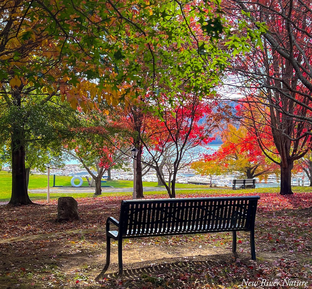 KerriFar's tweet photo. "Even if something is left undone, everyone must take time to sit still and watch the leaves turn." - Elizabeth Lawrence - at #ClaytorLakeStatePark #LoveVA #NewRiverNature #VAStateParks #AutumnJoy https://t.co/O5lqQ577Fh