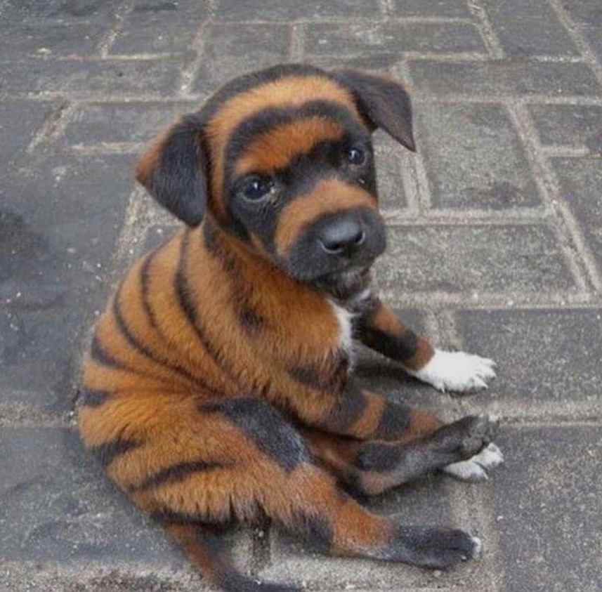 payer69's tweet image. Unveiling the mystery of phillip smith