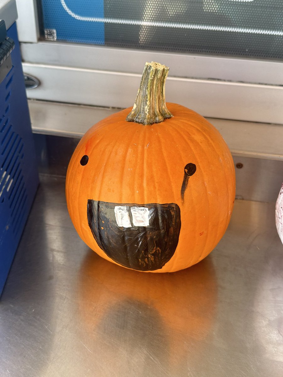 dumb ah pumpkin