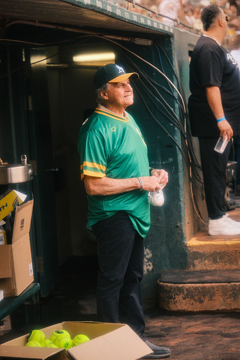 Last Dive Bar 🏟 tweet media