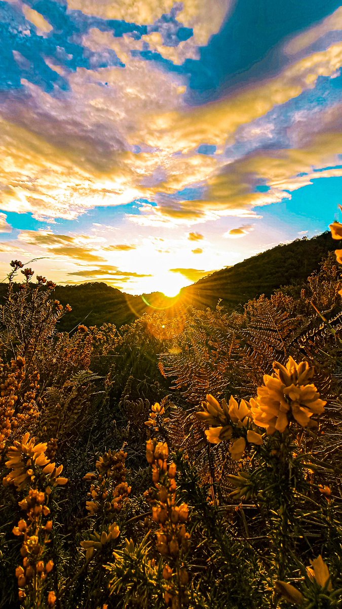 dman_tu_tesito's tweet image. MUÉVETE! 🏃‍♂️🚶‍♂️🏋️‍♀️...
#TESenforma