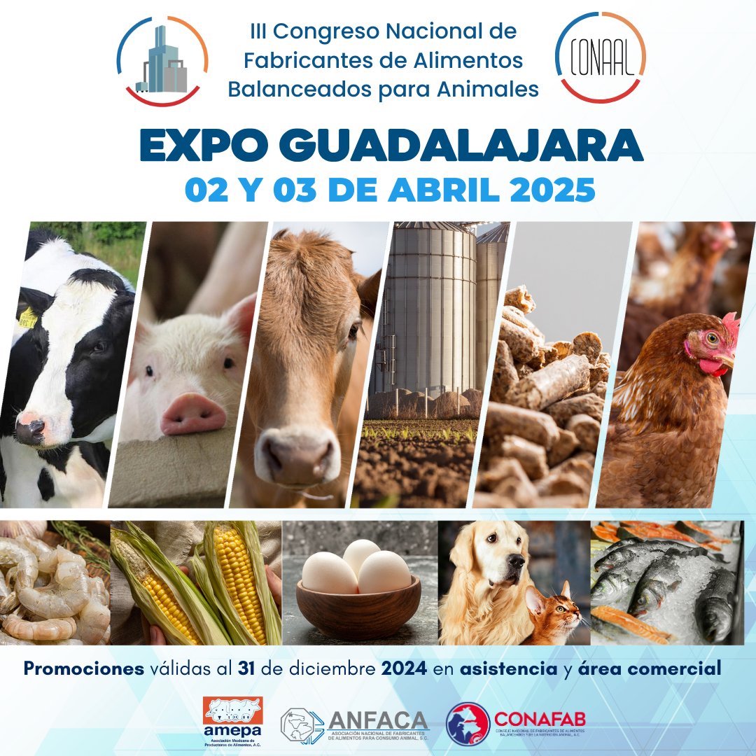 El único congreso especializado en Fabricantes de Alimentos Balanceados.
congresoalimentosbalanceados.com