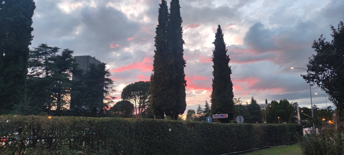 Lorena Parra (@loparbo) on Twitter photo #sunset from Ciudad Universitaria while we were visiting the gardens of <a href="/etsiaab/">ETSIAAB / #AlimentaElFuturo</a>.
#atardecer desde la Ciudad Universitaria mientras visitamos los jardines de la <a href="/etsiaab/">ETSIAAB / #AlimentaElFuturo</a>. #sunset from Ciudad Universitaria while we were visiting the gardens of <a href="/etsiaab/">ETSIAAB / #AlimentaElFuturo</a>.
#atardecer desde la Ciudad Universitaria mientras visitamos los jardines de la <a href="/etsiaab/">ETSIAAB / #AlimentaElFuturo</a>.