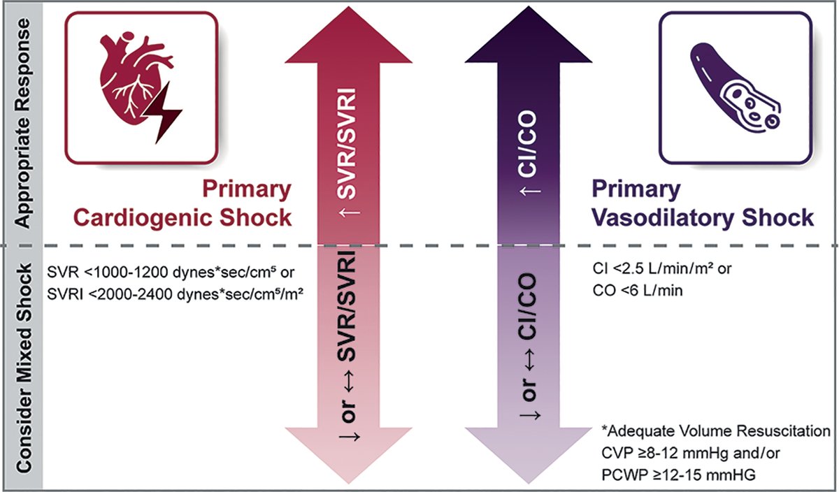 Sean van Diepen (@seanvandiepen) on Twitter photo New work in <a href="/CircAHA/">Circulation</a> on Mixed Cardiogenic Shock. The document proposes a Standardized Classification, a Hemodynamic Definition, and Framework for Management. Below is the proposed hemodynamic definition of cardio-vasodilatory shock. A thread ..... 1/5 New work in <a href="/CircAHA/">Circulation</a> on Mixed Cardiogenic Shock. The document proposes a Standardized Classification, a Hemodynamic Definition, and Framework for Management. Below is the proposed hemodynamic definition of cardio-vasodilatory shock. A thread ..... 1/5