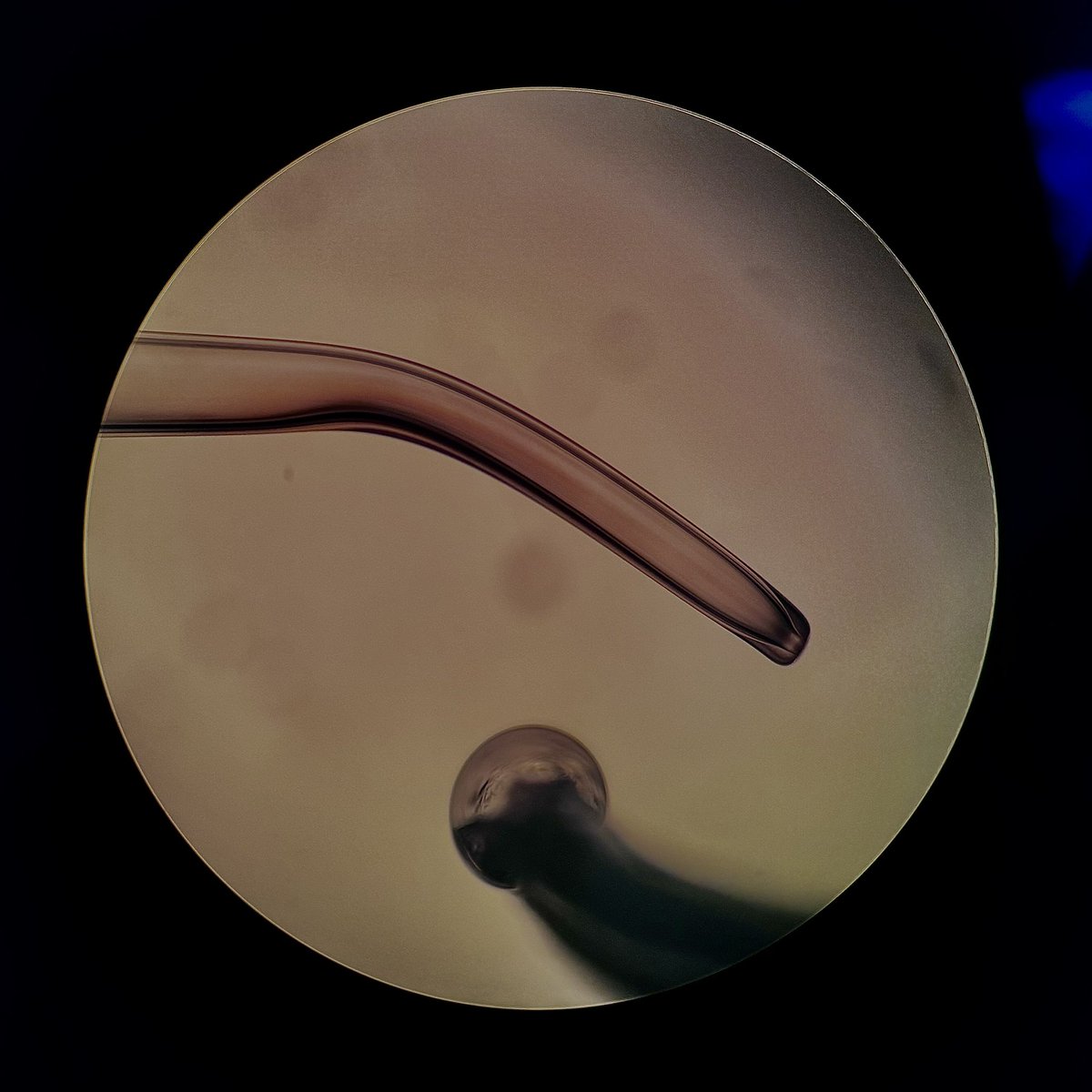 Jada Nix tweet media