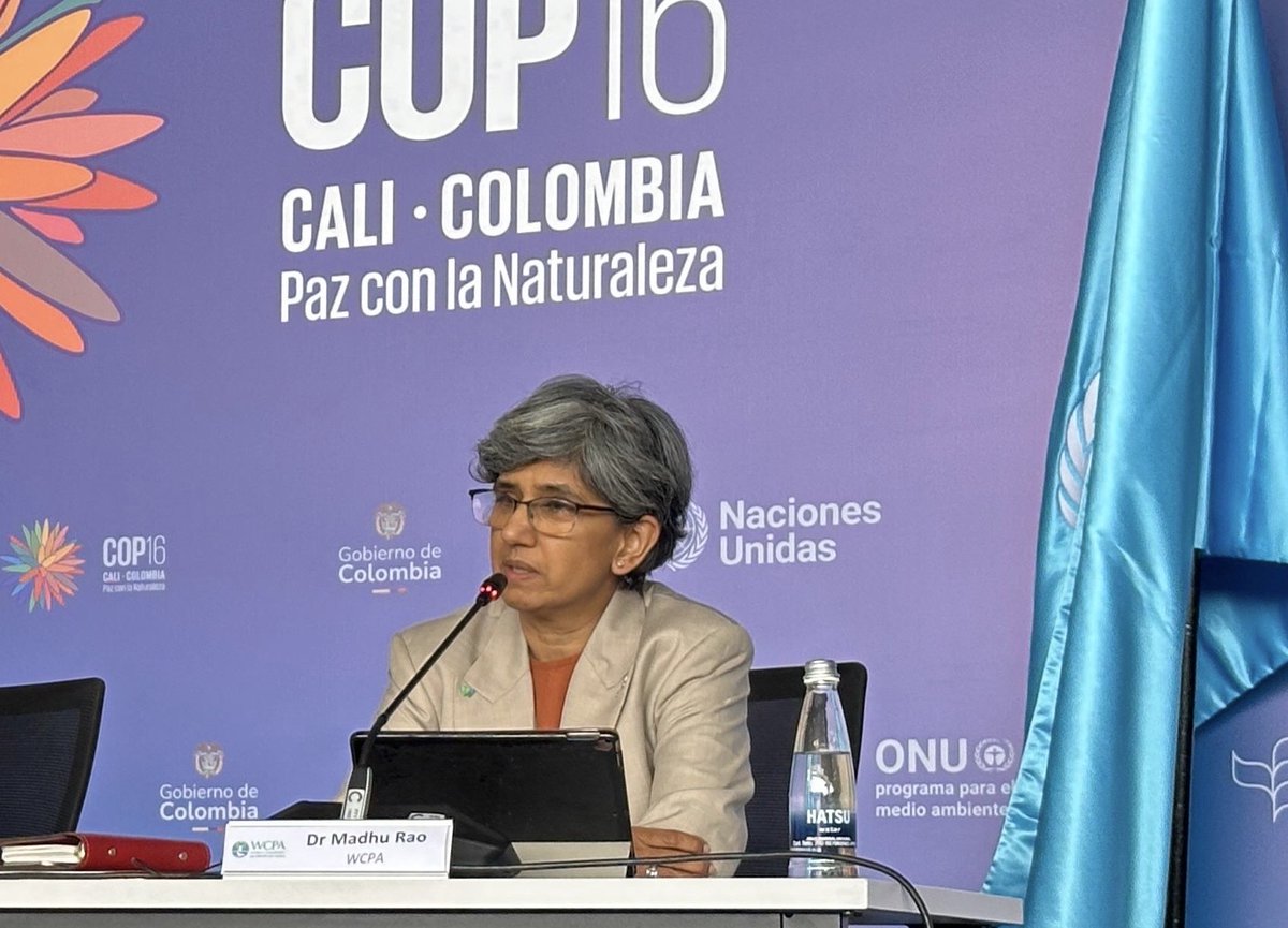 TheWCS's tweet photo. An @unepwcmc stocktake at #COP16Colombia since adoption of #GBF.

"Goverments must urgently speed up progress," says WCS's @mrao10, Chair of @IUCN_WCPA. "Giving appropriate recognition and support to Indigenous and traditional territories, commitments must be met to provide international financing to developing countries and to increase investment in biodiversity to at least $200 billion annually by 2030."

The report: https://t.co/ZPFRdiJZtc
#PeaceWithNature