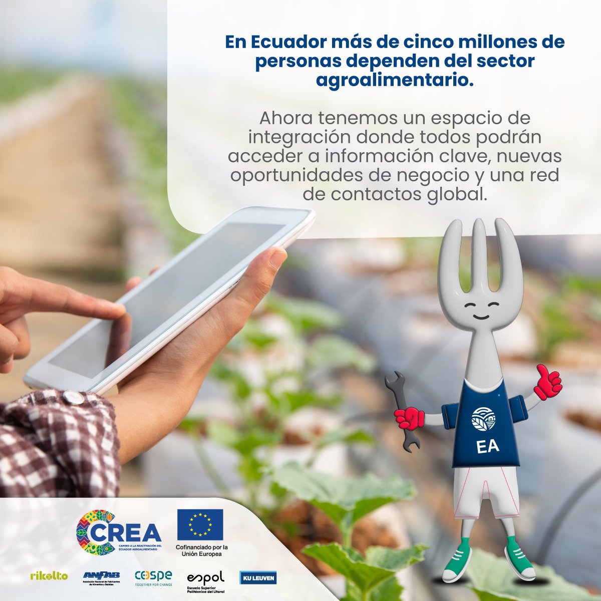 ANFAB_Ec's tweet photo. ¡La Plataforma Digital Ecuador Agroalimentario ya es una realidad!  Queremos agradecer a la 🇪🇺 @UEenEcuador , por el cofinanciamiento y apoyo en la ejecución de este hito, a través del Proyecto CREA ejecutado en consorcio por @rikoltoLA, #ANFAB, @cospeonlus, @KU_Leuven y @espol https://t.co/TNRrhr7Pyw