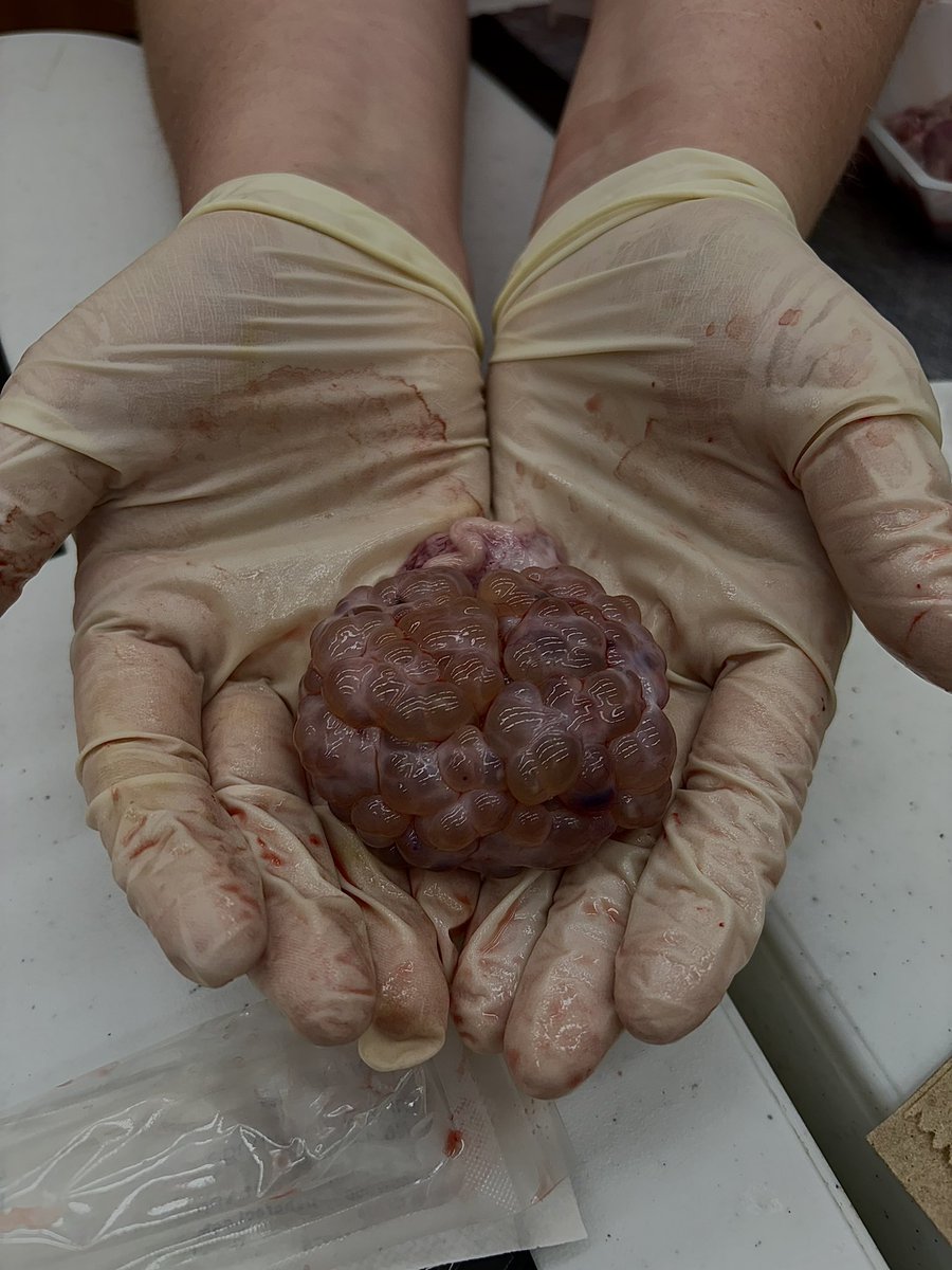 Jada Nix tweet media