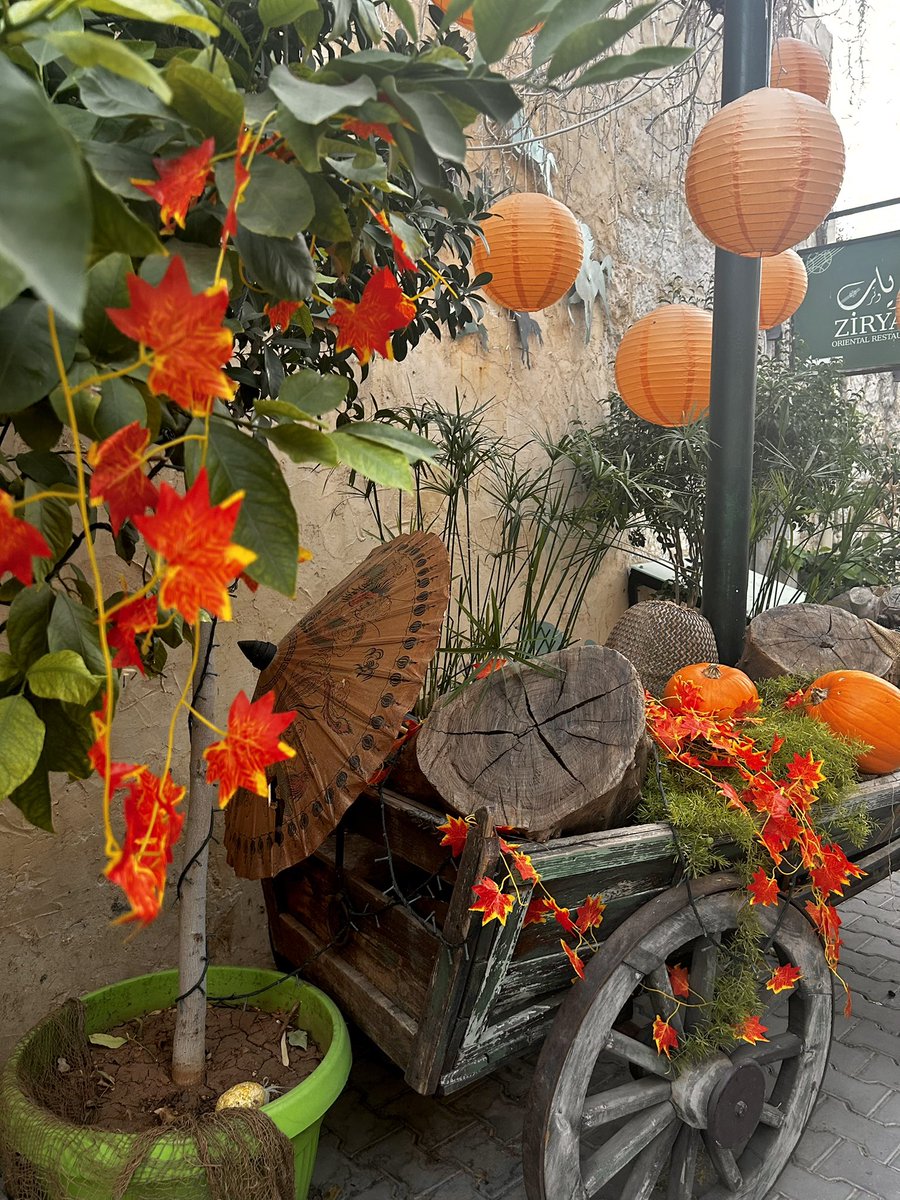 Rahamoh44's tweet photo. Autumn 🍂🍁🎃.  

📍Amman -Jordan 📸 https://t.co/bZ2elnmzPV