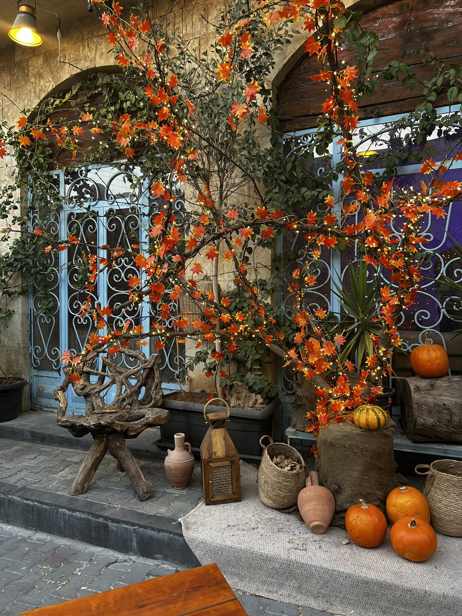Rahamoh44's tweet photo. Autumn 🍂🍁🎃.  

📍Amman -Jordan 📸 https://t.co/bZ2elnmzPV