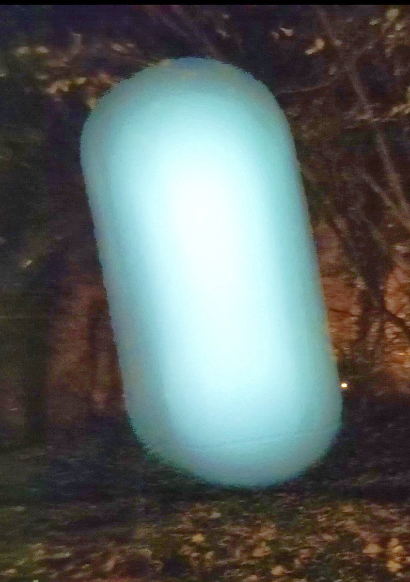 sasanka_iam's tweet image. The most incredible catch! How can they be so enchanting? 
😱
File in the comment

#ufo #dimensions