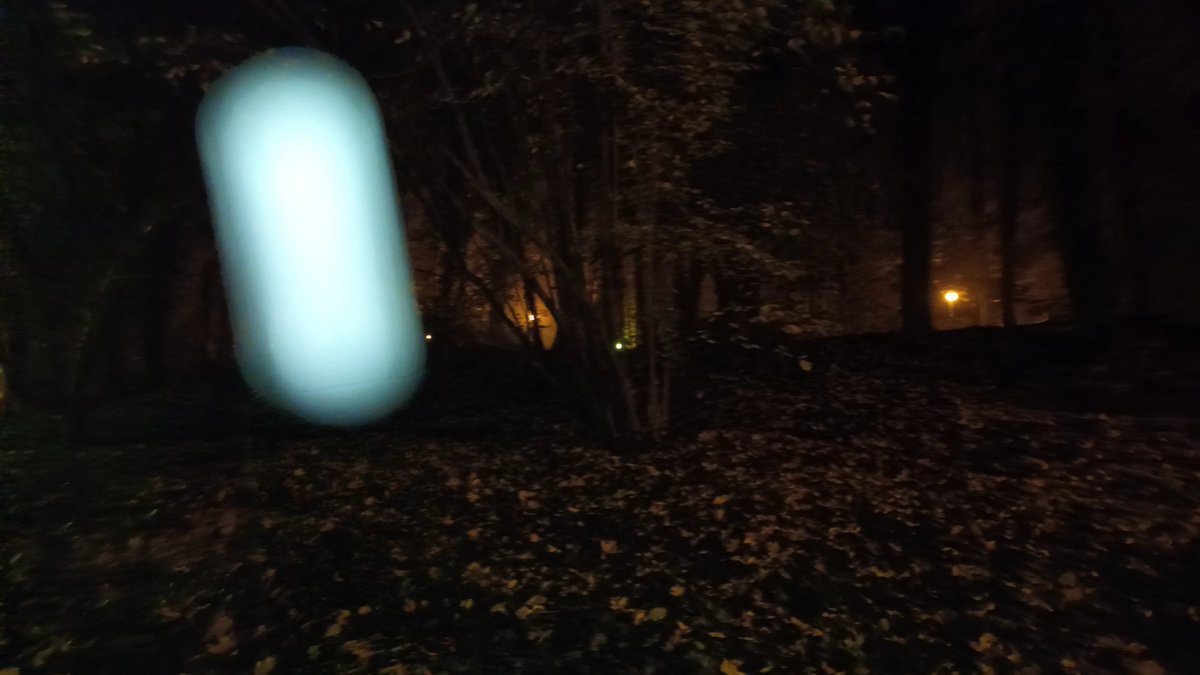 sasanka_iam's tweet image. The most incredible catch! How can they be so enchanting? 
😱
File in the comment

#ufo #dimensions