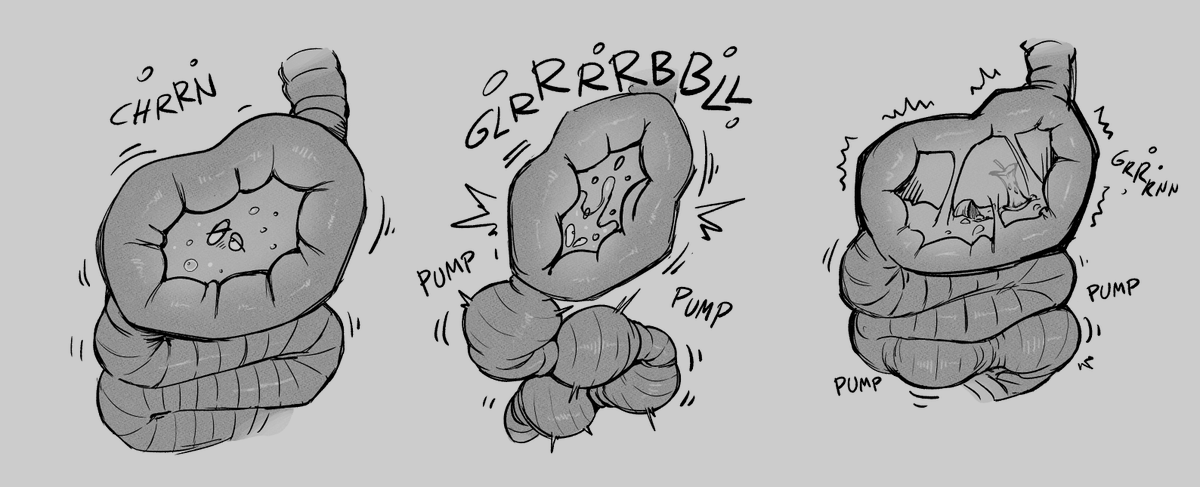 "Charlie" tweet media