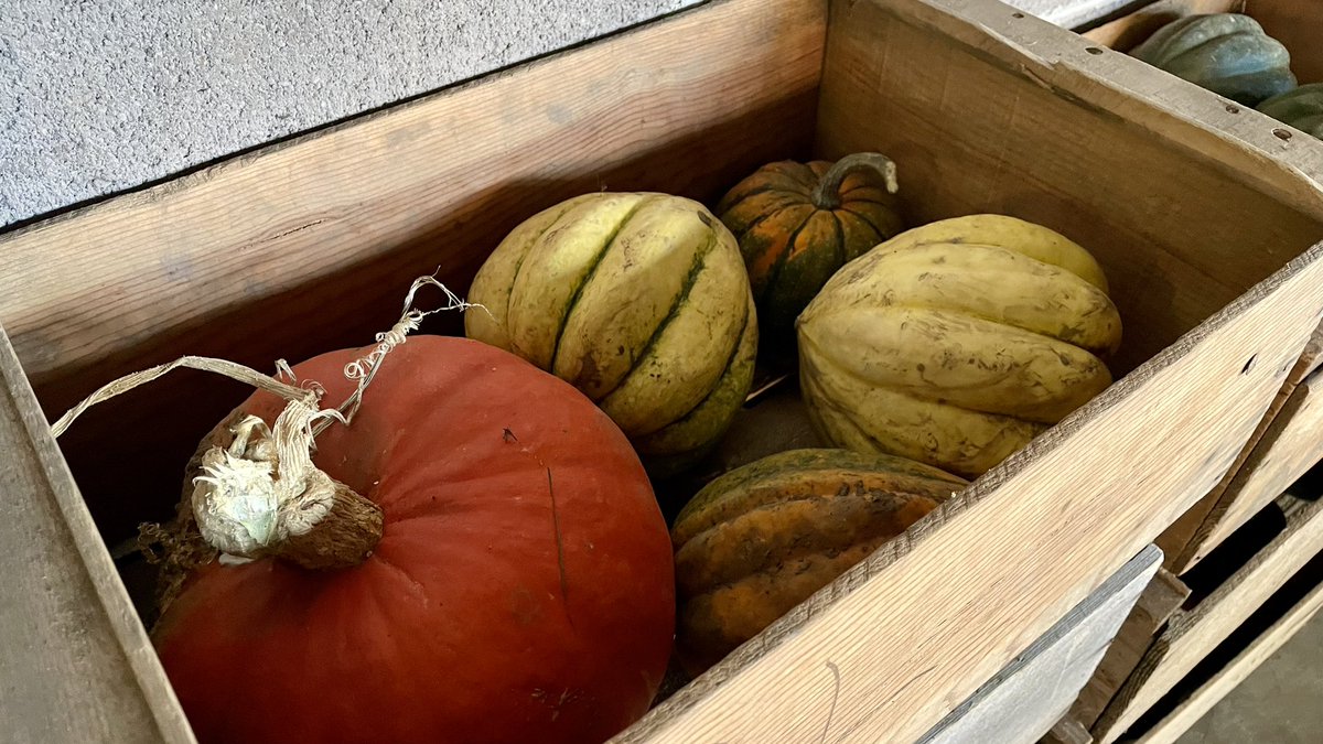 SSMO_Oregon's tweet photo. It’s a wonderful time of year to see the fruits of this year’s harvest! https://t.co/TyRrS7NlL0