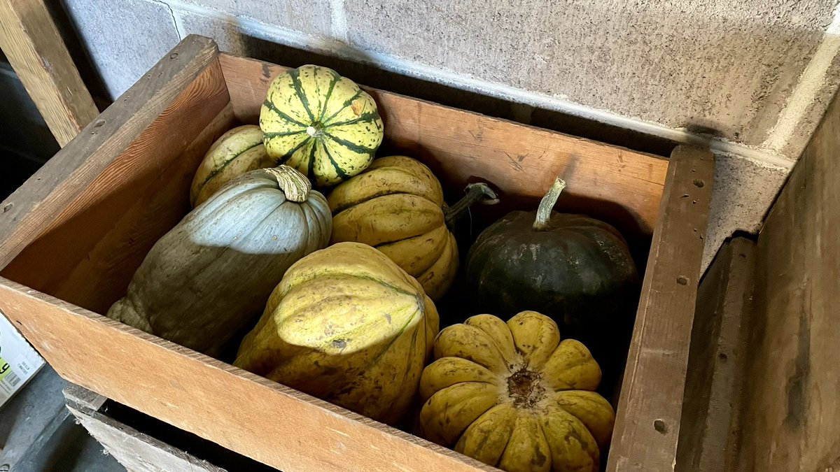 SSMO_Oregon's tweet photo. It’s a wonderful time of year to see the fruits of this year’s harvest! https://t.co/TyRrS7NlL0