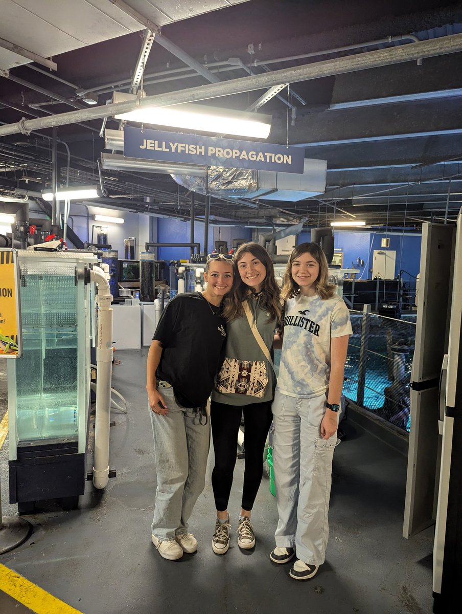 kingshsinterns's tweet image. We can't say enough thank yous to Brian and the dive team at @NewportAquarium for taking Abby, Madison, and Lindsay on a behind the scenes tour.  We loved hearing about  careers in marine biology and vet med! Thanks for working with @Kings_Schools  and @Kings_HS .