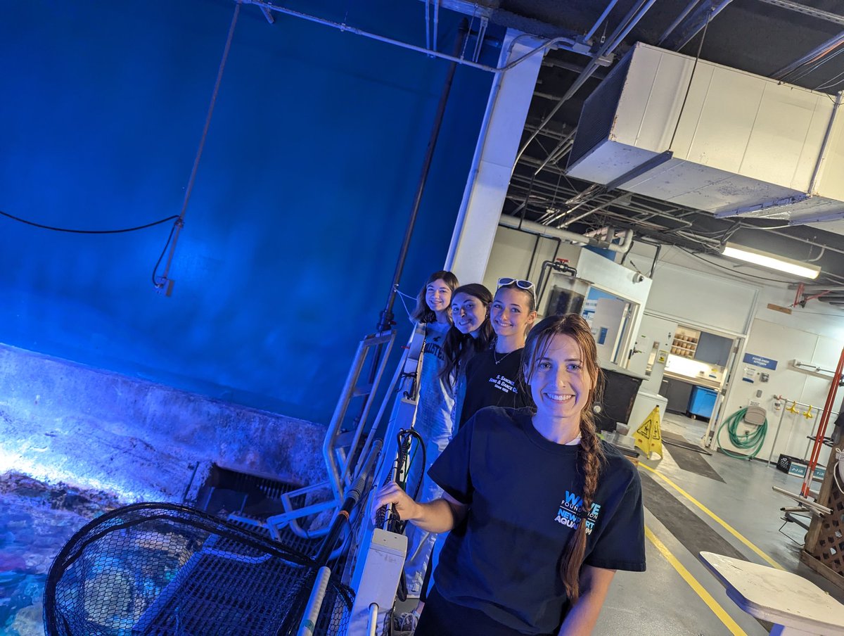 kingshsinterns's tweet image. We can't say enough thank yous to Brian and the dive team at @NewportAquarium for taking Abby, Madison, and Lindsay on a behind the scenes tour.  We loved hearing about  careers in marine biology and vet med! Thanks for working with @Kings_Schools  and @Kings_HS .