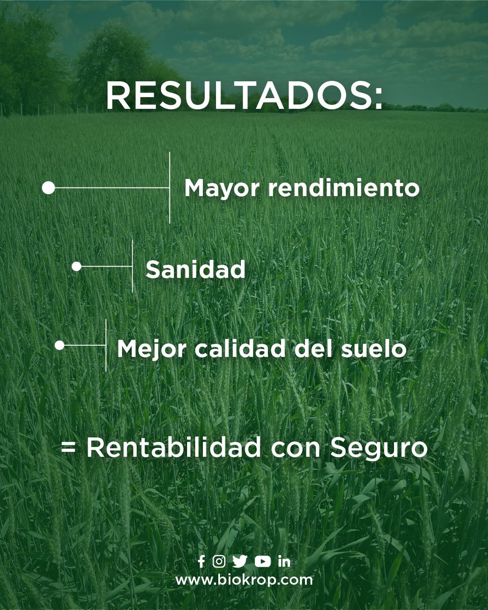En El Timbo, llevamos más de 6 años utilizando tecnología prebiótica en cultivos, y los resultados hablan por sí solos.

Nuestra Web:🌐 biokrop.com

#agriculturasostenible #biotecnología #innovaciónagrícola #uruguay