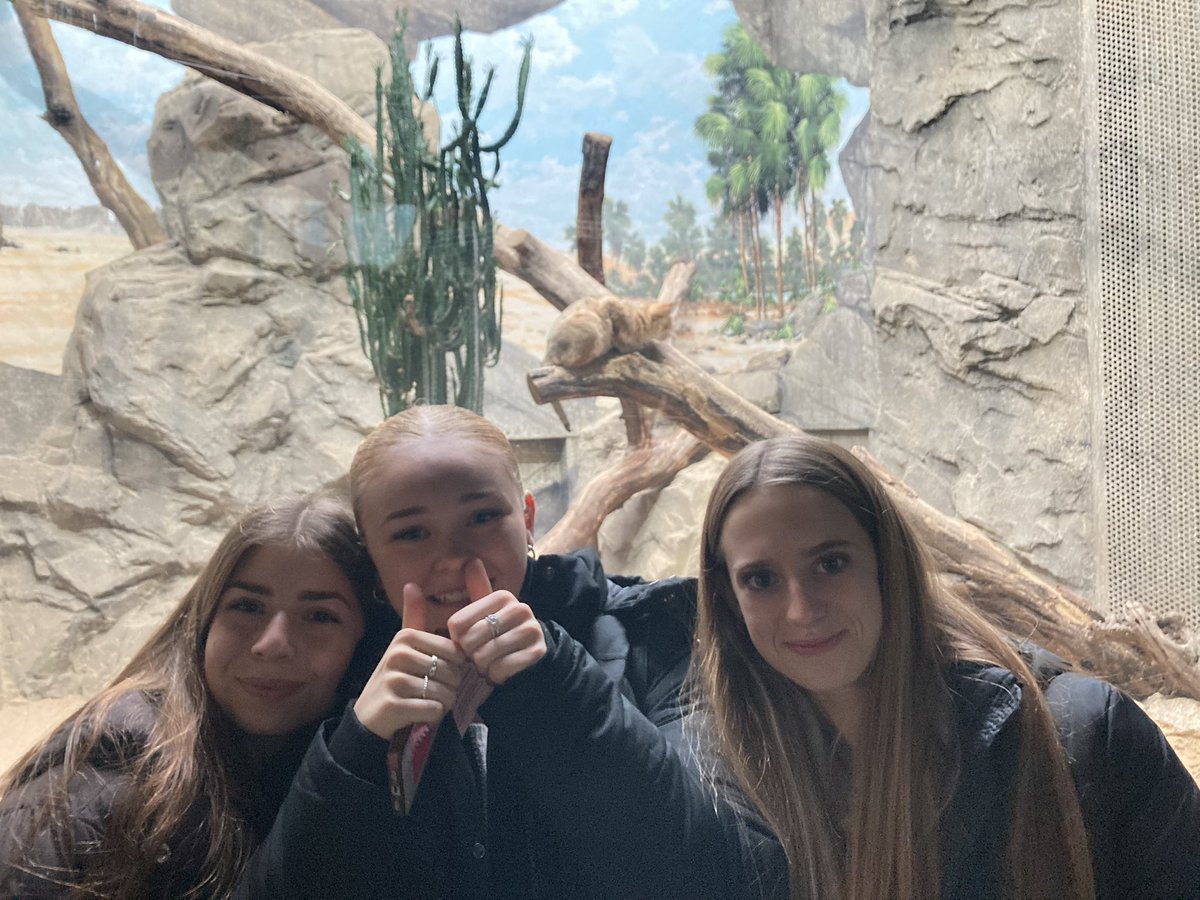 Avonbourne History tweet media