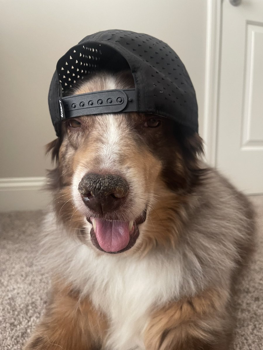 JustKyleBC's tweet photo. This guys has great taste in hats @BreezyGlf https://t.co/pYsMo52CLd
