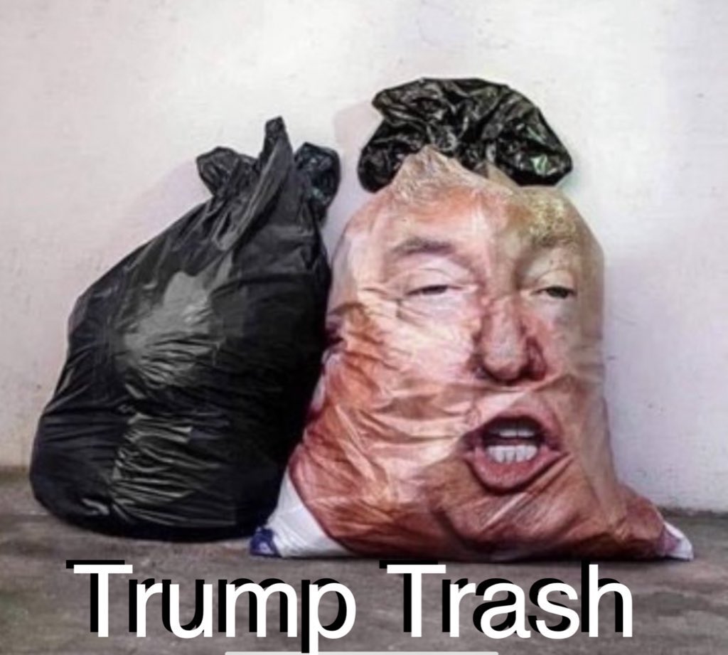 <a href="/ProjectLincoln/">The Lincoln Project</a> ⬆️ The real floating garbage. ⬆️