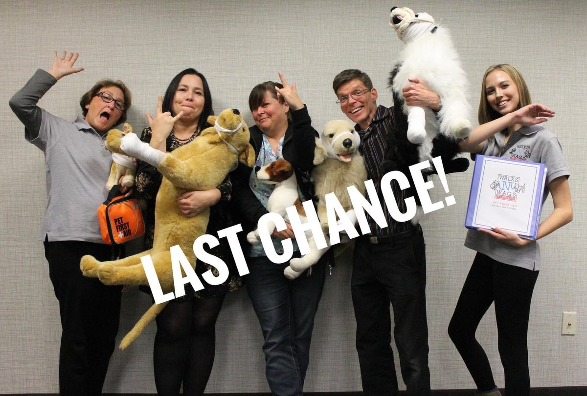 HURRY! DEADLINE IS OCTOBER 30 to apply into the Group Zoom Instructor Course being held November 30 and December 1, 2024!
 
We are looking for pet professionals looking to take their business to the next level.

Visit our web site for info: walksnwags.com/pet-first-aid-…