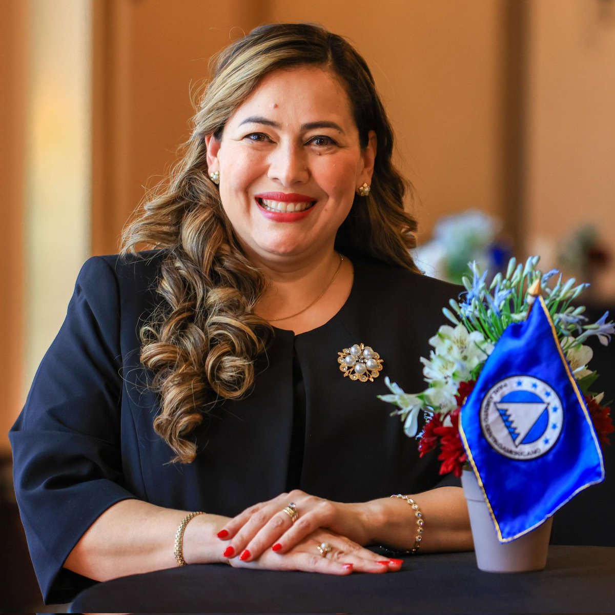 Secretaria de Junta Directiva del Parlamento Centroamericano, por el Estado de #ElSalvador.  2024-2025