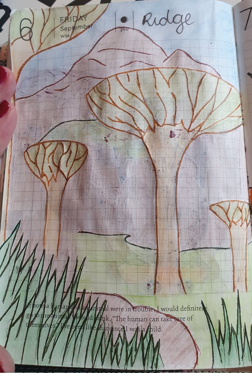 Steph 🍂🦔 tweet media