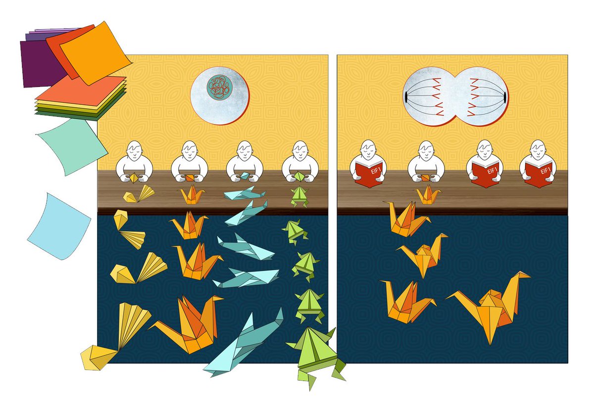 Whitehead Institute (@whiteheadinst) on Twitter photo "Cells have axes of control that they use to quickly make broad changes in gene expression...Our work identifies another axis of control, and we’re excited to discover more about when and how cells make use of it," <a href="/iaincheeseman/">Iain Cheeseman</a> says. wi.mit.edu/news/elegant-s… "Cells have axes of control that they use to quickly make broad changes in gene expression...Our work identifies another axis of control, and we’re excited to discover more about when and how cells make use of it," <a href="/iaincheeseman/">Iain Cheeseman</a> says. wi.mit.edu/news/elegant-s…