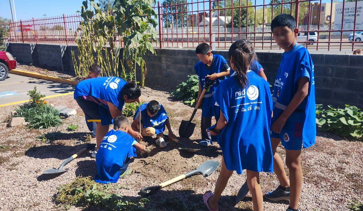 Vive_Dgo's tweet image. 🌱✨ ¡Hoy sembramos más que árboles, sembramos futuro!🌳❤️

Con gran entusiasmo, los más pequeños de la comunidad de Río Dorado se suman a las acciones de la estrategia VIVE en una jornada de reforestación. 

Gracias a Red ambiental por su contribución y disposición. @HectorVelaV