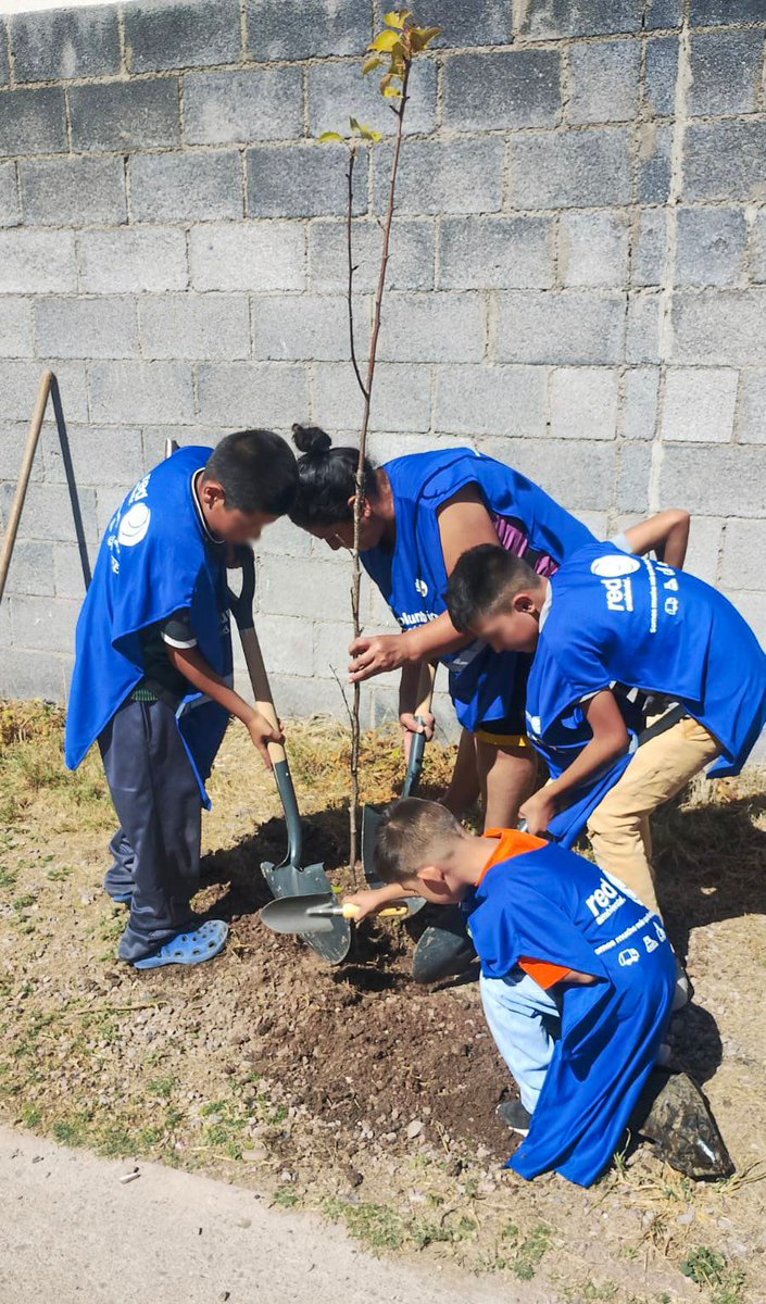 Vive_Dgo's tweet image. 🌱✨ ¡Hoy sembramos más que árboles, sembramos futuro!🌳❤️

Con gran entusiasmo, los más pequeños de la comunidad de Río Dorado se suman a las acciones de la estrategia VIVE en una jornada de reforestación. 

Gracias a Red ambiental por su contribución y disposición. @HectorVelaV