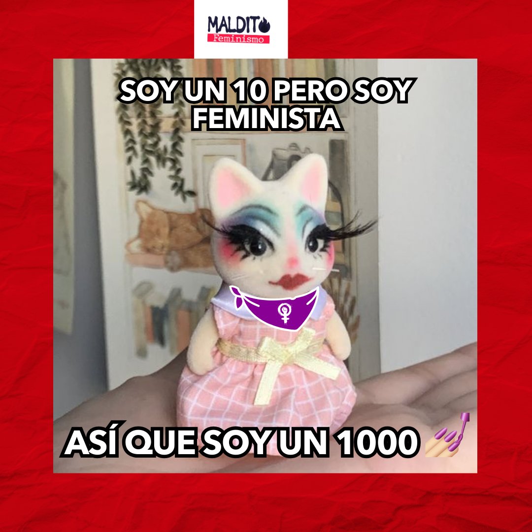 Maldito Feminismo tweet media