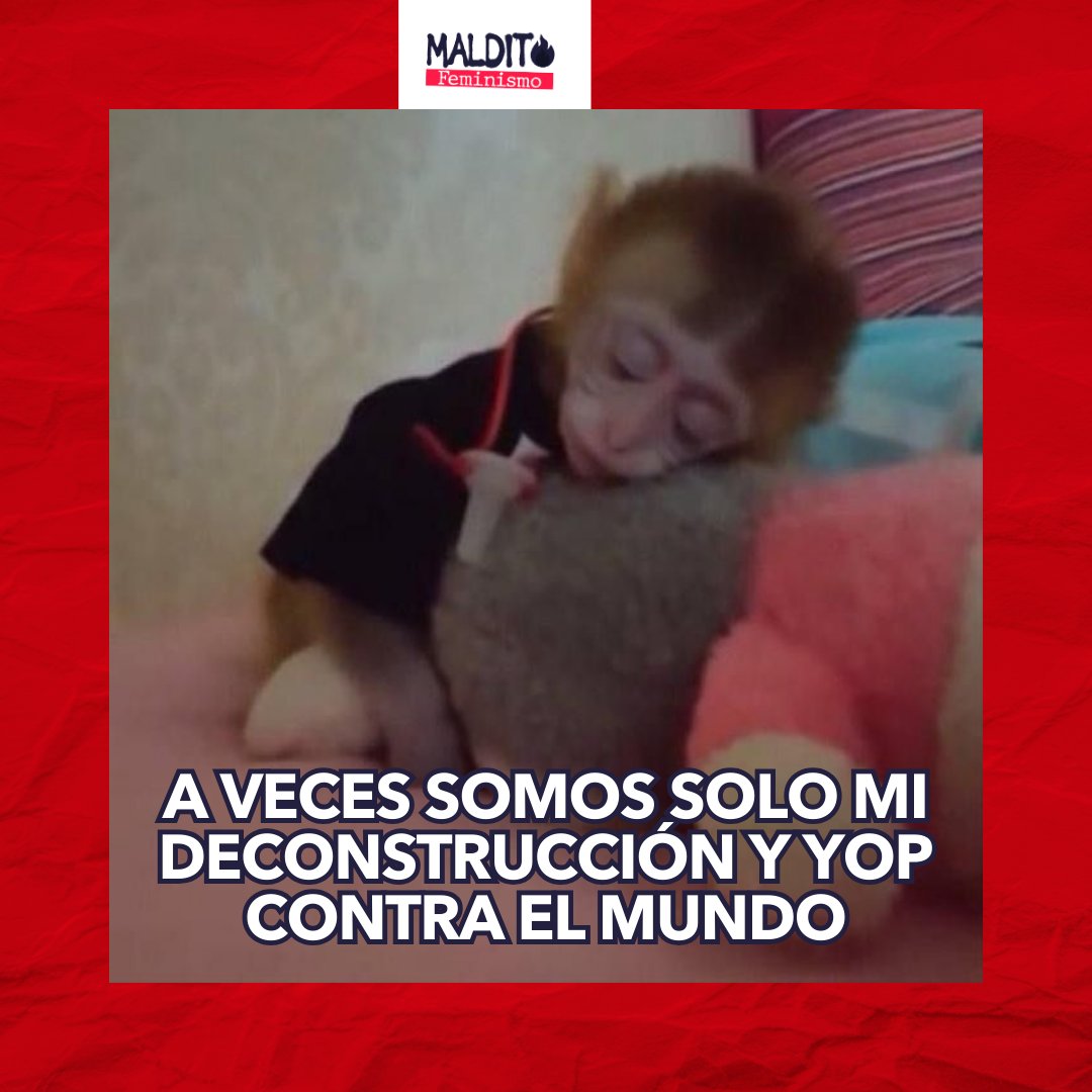 Maldito Feminismo tweet media