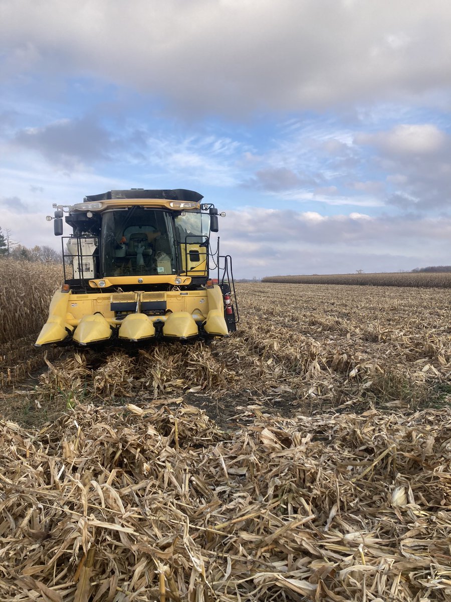 Didn’t quite get stopped in time for a “last row” picture but the end has come for #harvest24. Contact us for results and how we can help you #thrivein25!