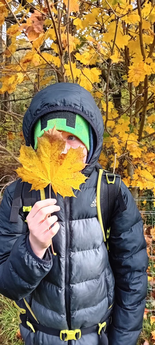 LHSInclusionST's tweet photo. S2 Outdoor Learners enjoyed creating their own sycamore leaf clay templates with the talented Ms Geurtzen. Just the painting to do tomorrow! @LesmahagowHigh #LHSTogether https://t.co/i81Bir6MRL