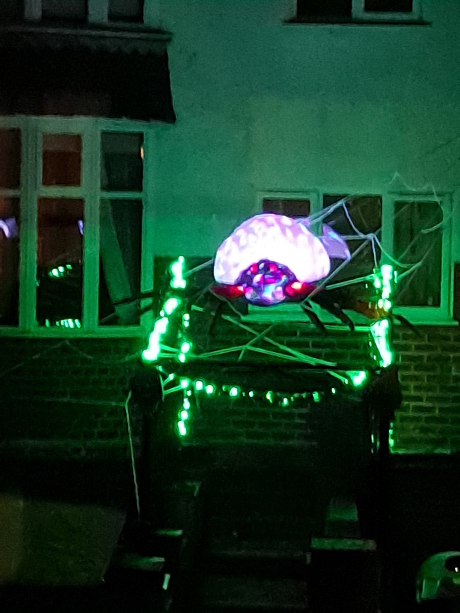 For those that are not keen on spiders, maybe don't come up our road for a few days