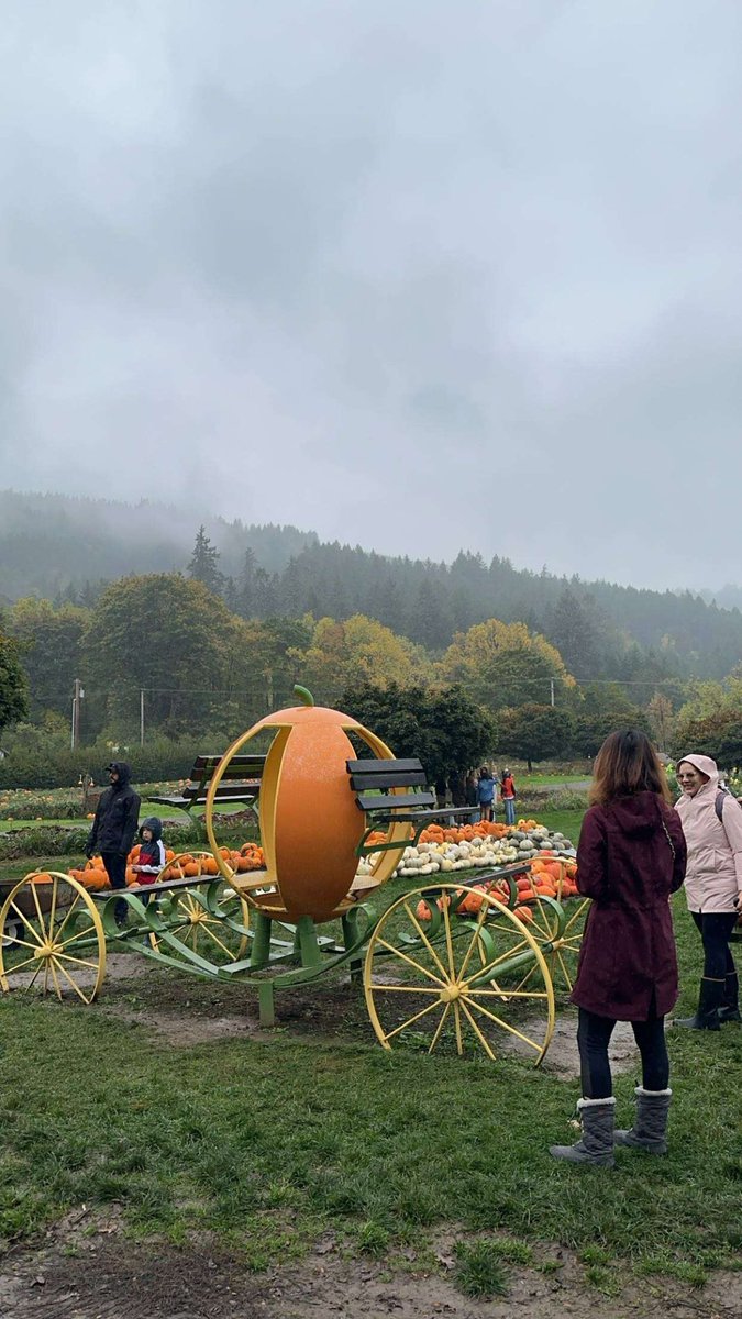 nada_altmimi1's tweet photo. “Halloween Events In USA 🇺🇸” https://t.co/rCL5CaMOJ3