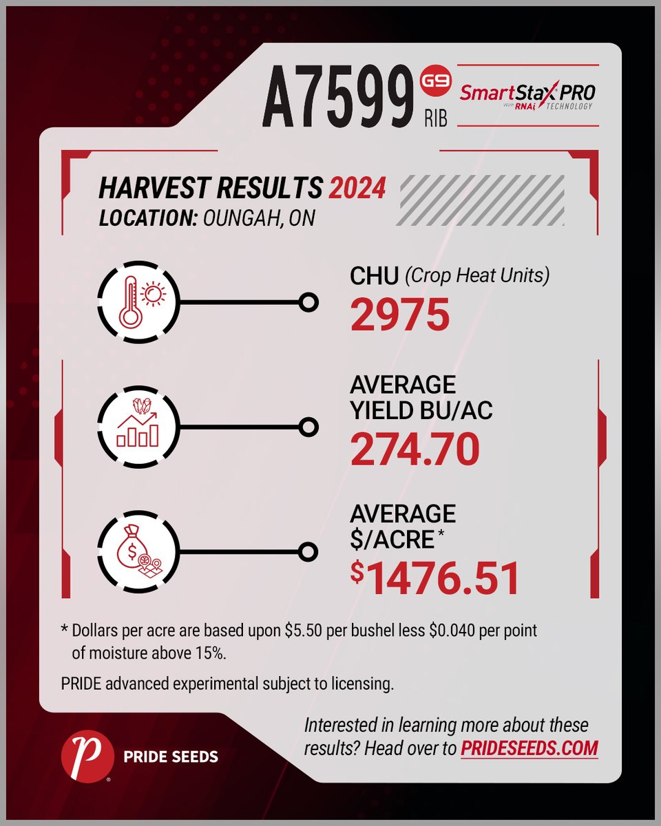 PRIDESeeds's tweet photo. 🛡Defensive Powerhouse Alert!🛡Say hello to “The BLUE LINER,” A7599G9RIB, anchoring our PRIDE Power Play roster! 🌽 Boost your harvest’s defences and thrive with “The Blue Liner’s” resilience!💪 This season is yours to seize! https://t.co/xcXTyRo3Tk
#PRIDEPowerPlay #TheBlueLiner https://t.co/EU21Uzk1dZ
