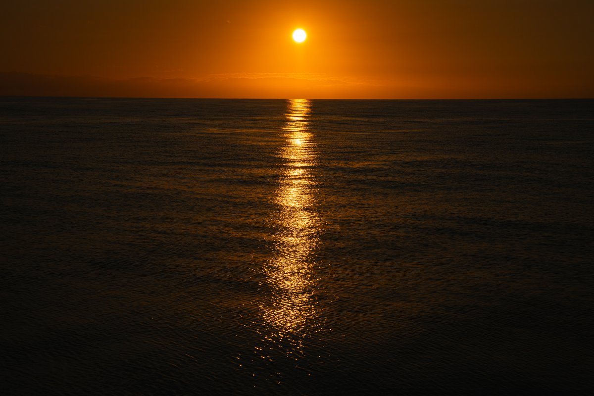 Schmidt Ocean (@schmidtocean) on Twitter photo A $51.7M pledge at #COP16 by top philanthropies, including <a href="/SchmidtOcean/">Schmidt Ocean</a>, and <a href="/BloombergDotOrg/">Bloomberg Philanthropies</a>, will accelerate the creation of high seas MPAs under the High Seas Treaty. This is a major step toward the 30x30 global ocean protection goal! 🌊
bloomberg.org/press/leading-… A $51.7M pledge at #COP16 by top philanthropies, including <a href="/SchmidtOcean/">Schmidt Ocean</a>, and <a href="/BloombergDotOrg/">Bloomberg Philanthropies</a>, will accelerate the creation of high seas MPAs under the High Seas Treaty. This is a major step toward the 30x30 global ocean protection goal! 🌊
bloomberg.org/press/leading-…