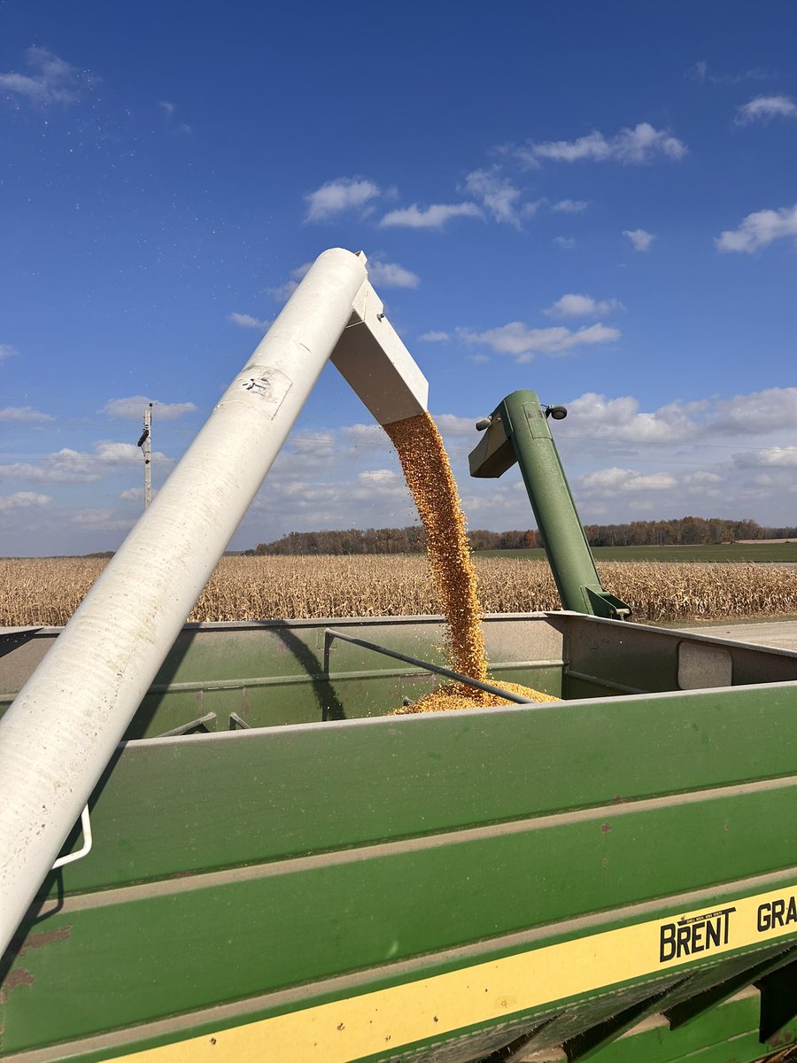 Last but not least 
✅4/4 plots today
✅ strong results with high yields &amp; low moistures