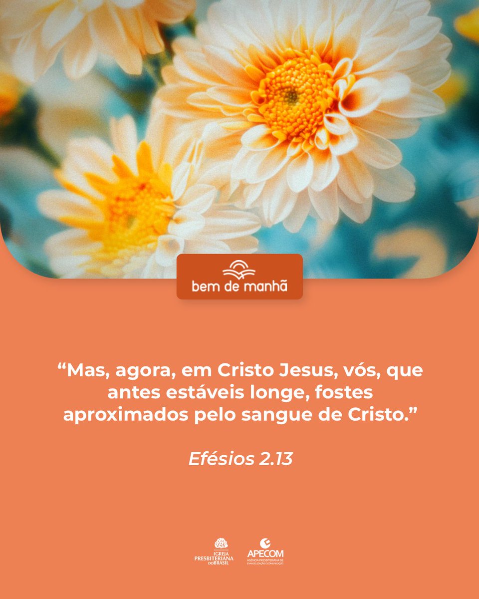 ipboficial's tweet photo. Bem de Manhã: Comece o dia meditando na sabedoria de Deus.

“Mas, agora, em Cristo Jesus, vós, que antes estáveis longe, fostes aproximados pelo sangue de Cristo.”

Efésios 2.13 https://t.co/XiqCp5svxf