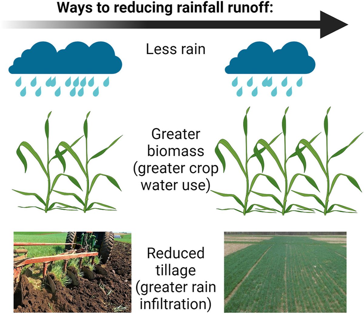 Centre For Hydrology (@centreforhydro) on Twitter photo A 20-year study in the Canadian Prairies shows that smart management of crops and tillage can significantly reduce runoff sciencedirect.com/science/articl… <a href="/GWF_pubs/">Global Water Futures Publications</a> <a href="/AWF_Research/">Ag Water Futures</a> <a href="/helenmbaulch/">Helen Baulch</a> <a href="/Prairie_Water/">Prairie Water</a> #ConservationTillage <a href="/merrinm/">Dr. Merrin Macrae</a> A 20-year study in the Canadian Prairies shows that smart management of crops and tillage can significantly reduce runoff sciencedirect.com/science/articl… <a href="/GWF_pubs/">Global Water Futures Publications</a> <a href="/AWF_Research/">Ag Water Futures</a> <a href="/helenmbaulch/">Helen Baulch</a> <a href="/Prairie_Water/">Prairie Water</a> #ConservationTillage <a href="/merrinm/">Dr. Merrin Macrae</a>