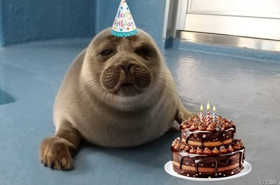 🦭Förg🦭 tweet media