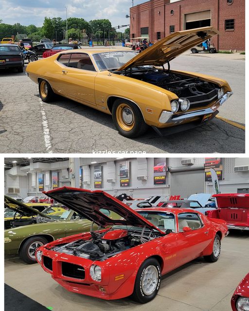 Quality Classics tweet media