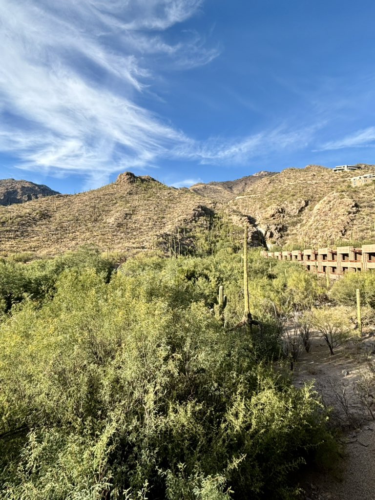 Finding a cool spot to trail run on work trips is my brand🌵 #SummitSundayOnAMonday #PlayOutside